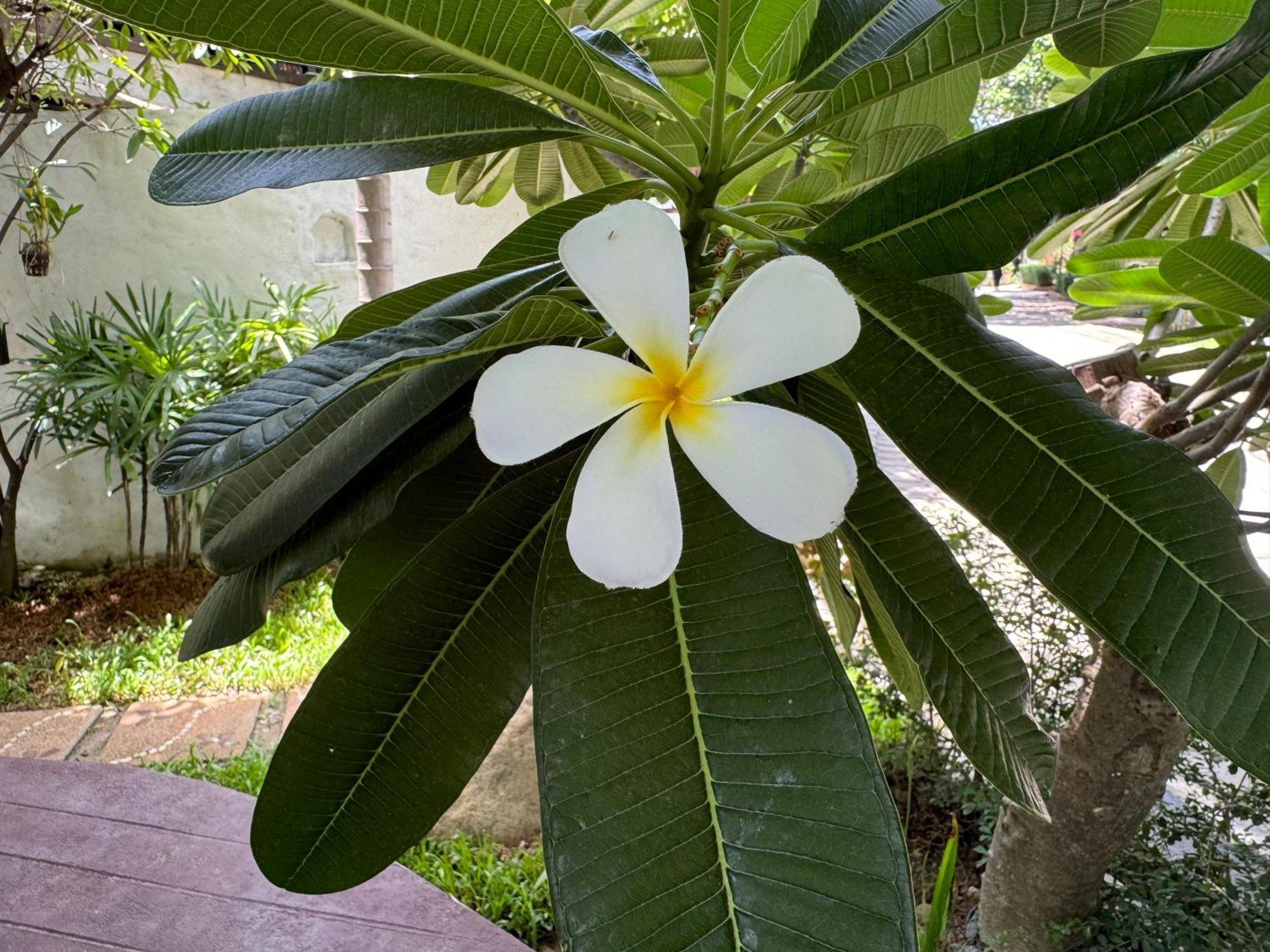Chiang Mai Las Orquideas Resort 外观 照片
