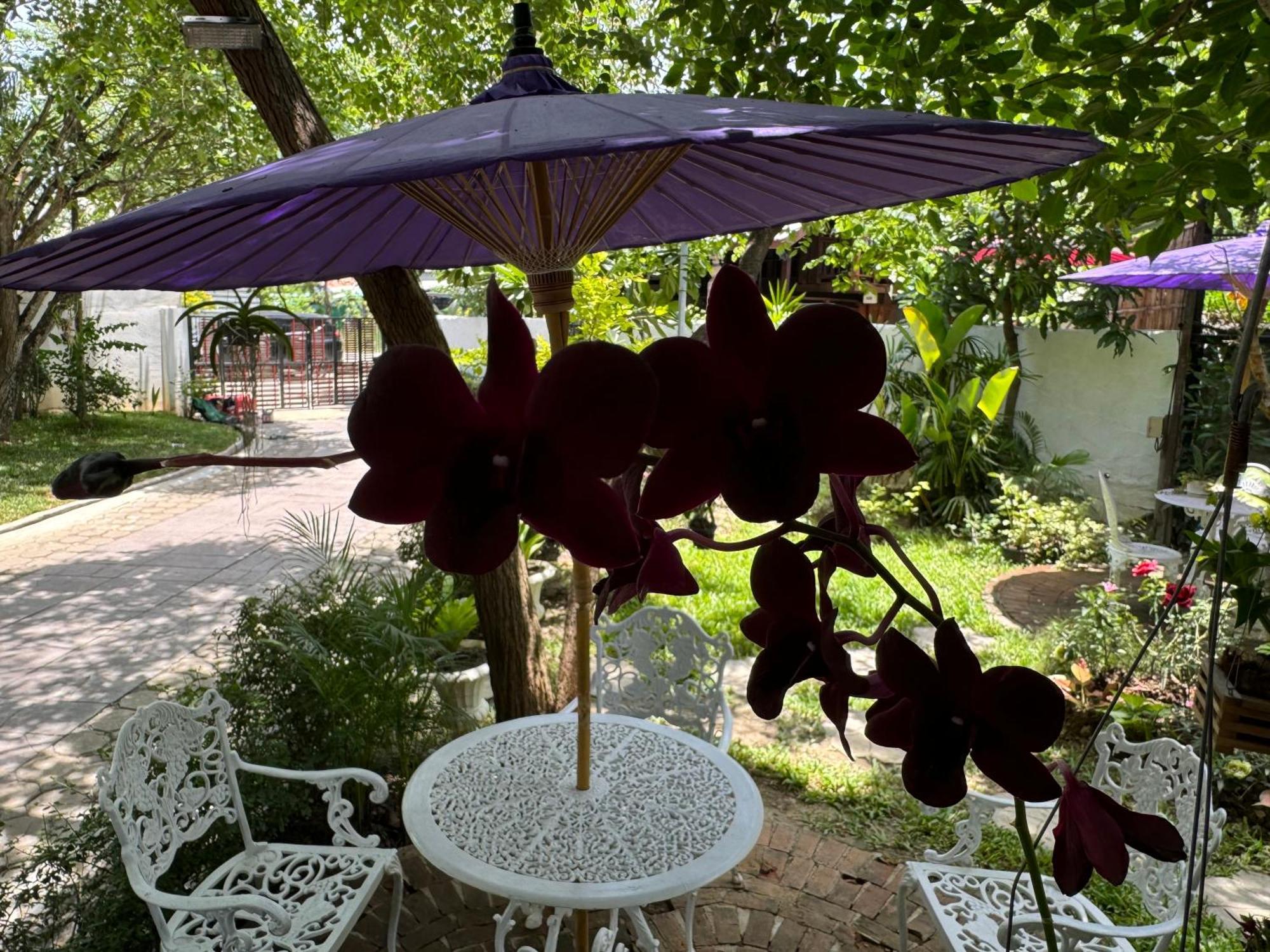 Chiang Mai Las Orquideas Resort 外观 照片