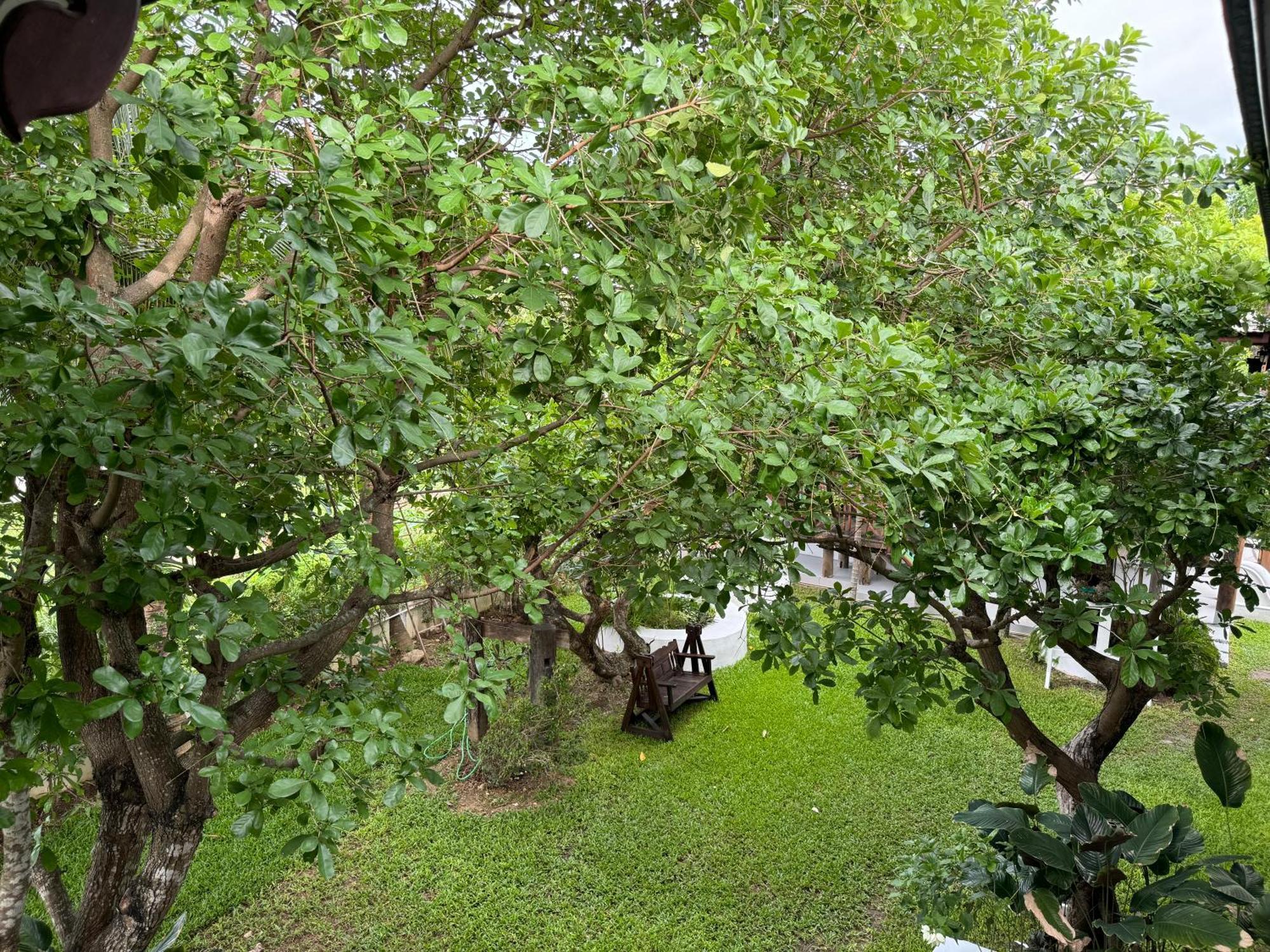 Chiang Mai Las Orquideas Resort 外观 照片